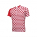 CAMISA CICLISMO ADVANCED RED BALL