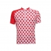 CAMISA CICLISMO ADVANCED RED BALL