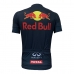 CAMISA CICLISMO ADVANCED REDBULL F1 - PRETO (PLUS SIZE)